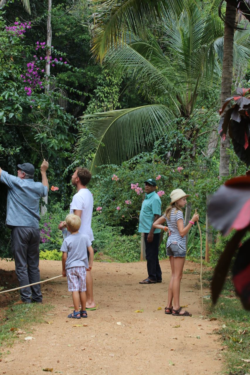 Our big German friend at Zee's Garden points out some JackFruit