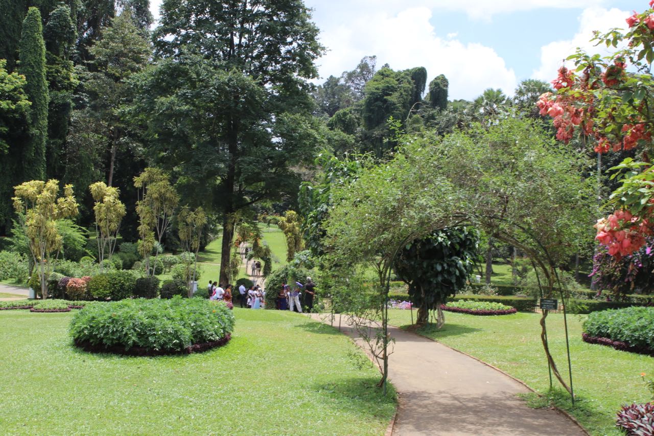 Peridenaya Royal Botanic Garden