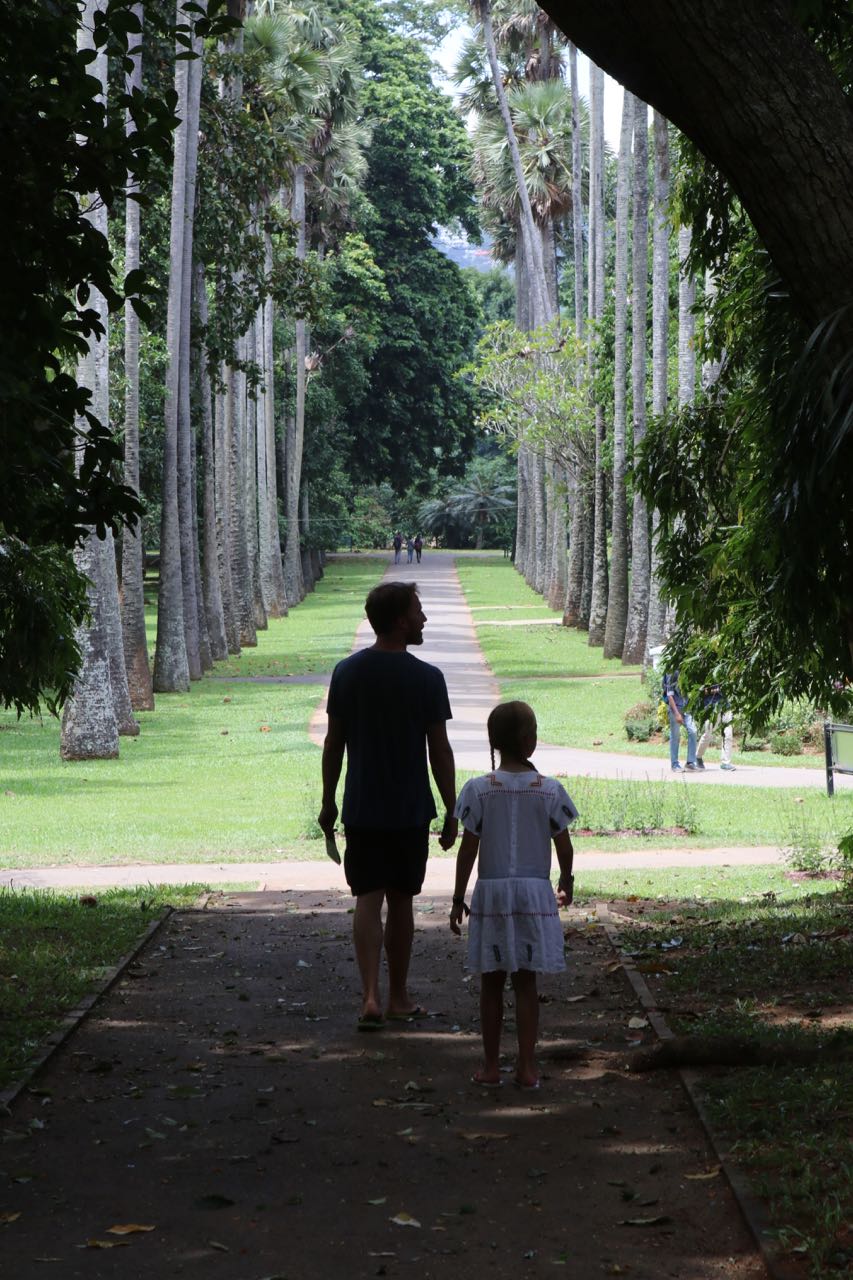 The Palm Colonnade at Peridenaya