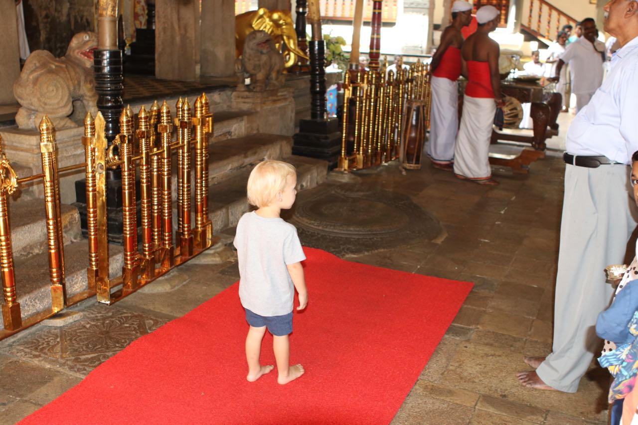 John John walks the Red Carpet