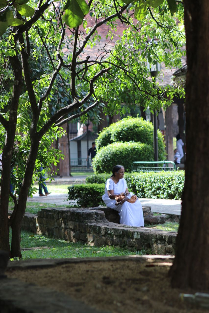 Gardens of the Temple of the Tooth