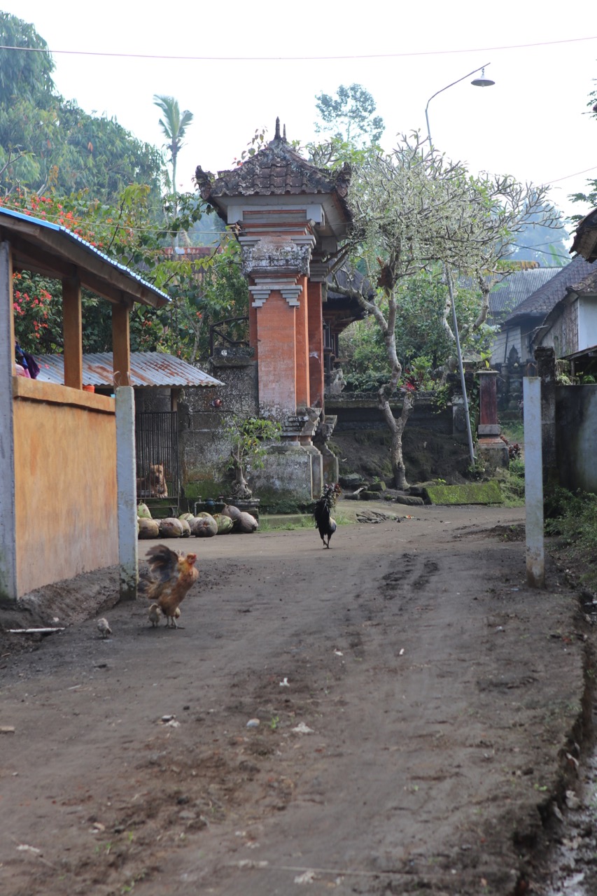 Farm track through the back of the compound with village temple doorway