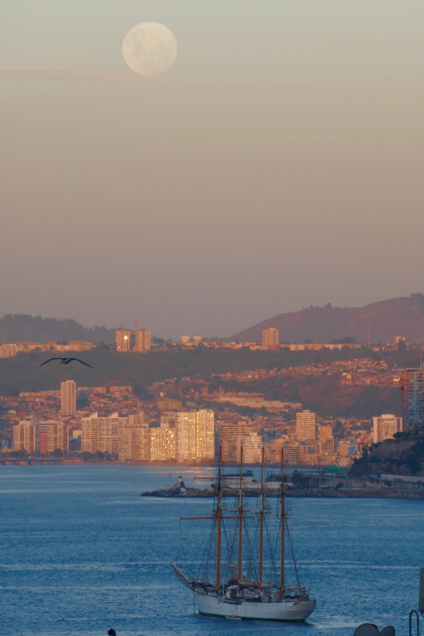 P1000085