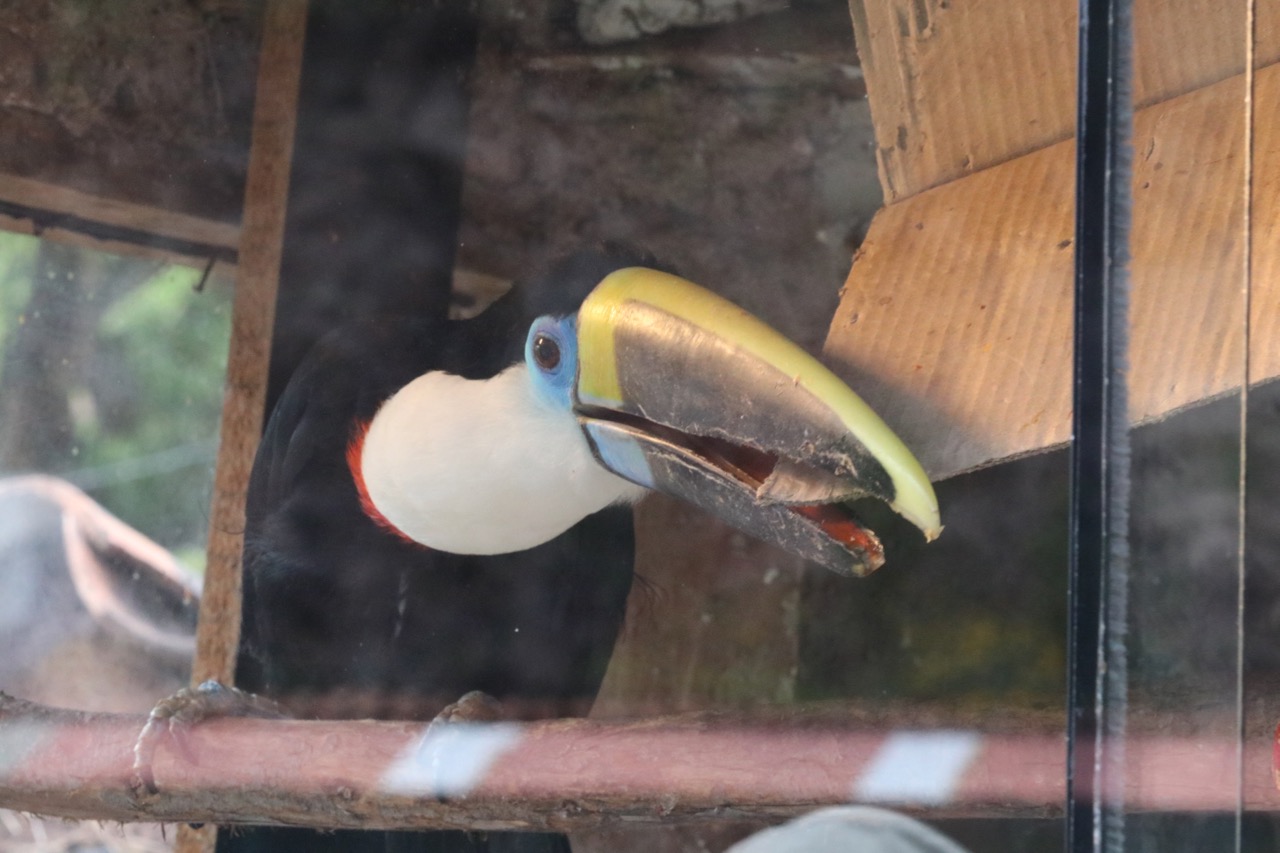 7518851088_IMG_4092
