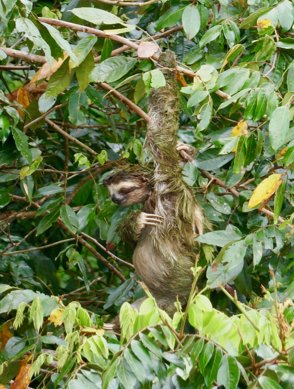 P1010170