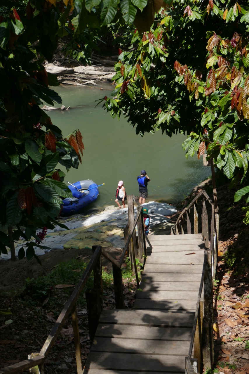 P1010394