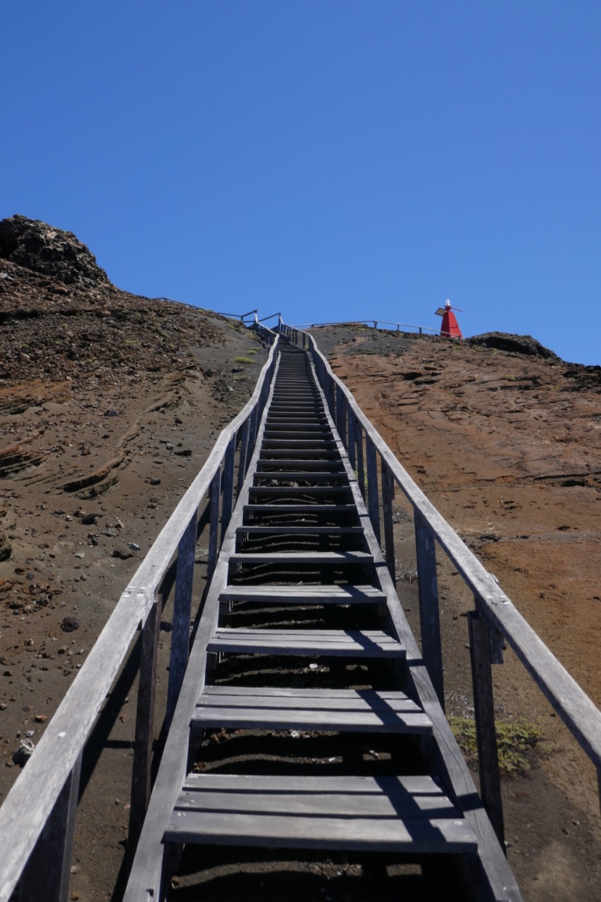 P1010649